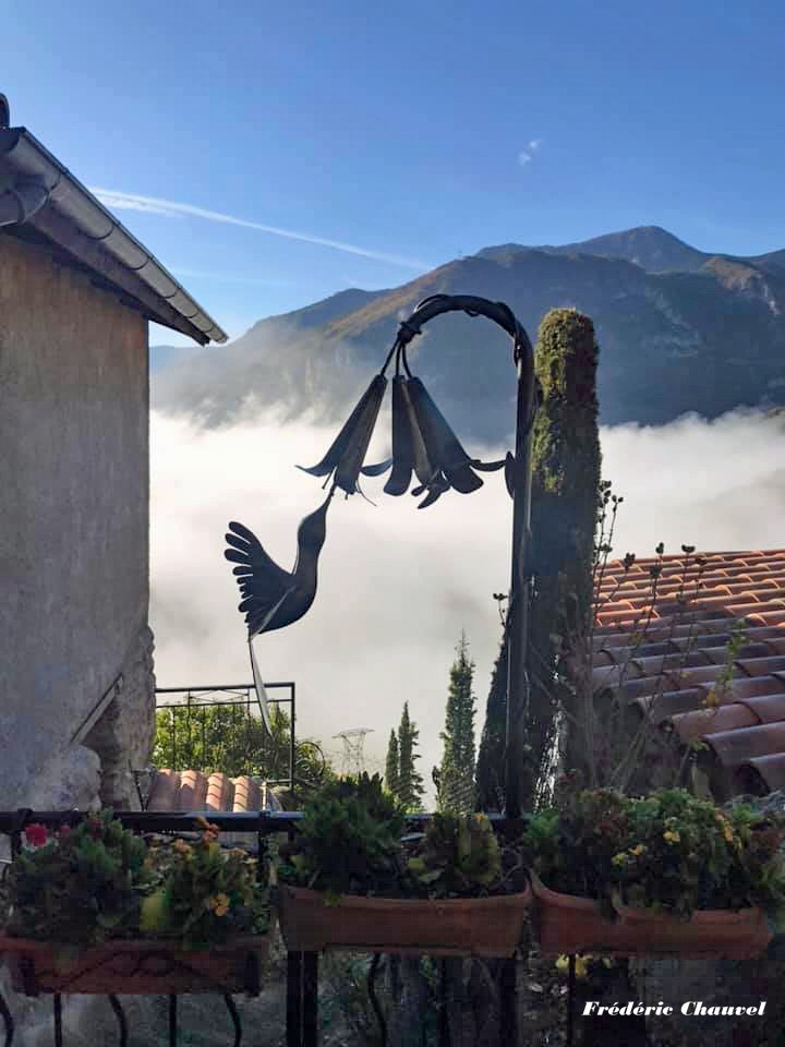 Le Colibri de François Fuentes