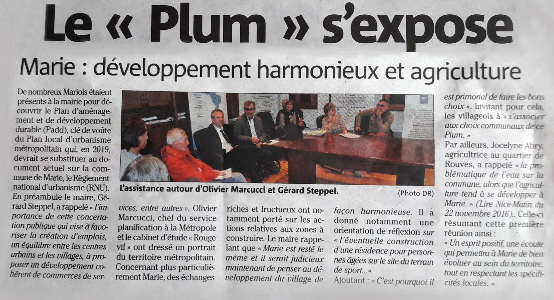 Plum nicematin 25 11