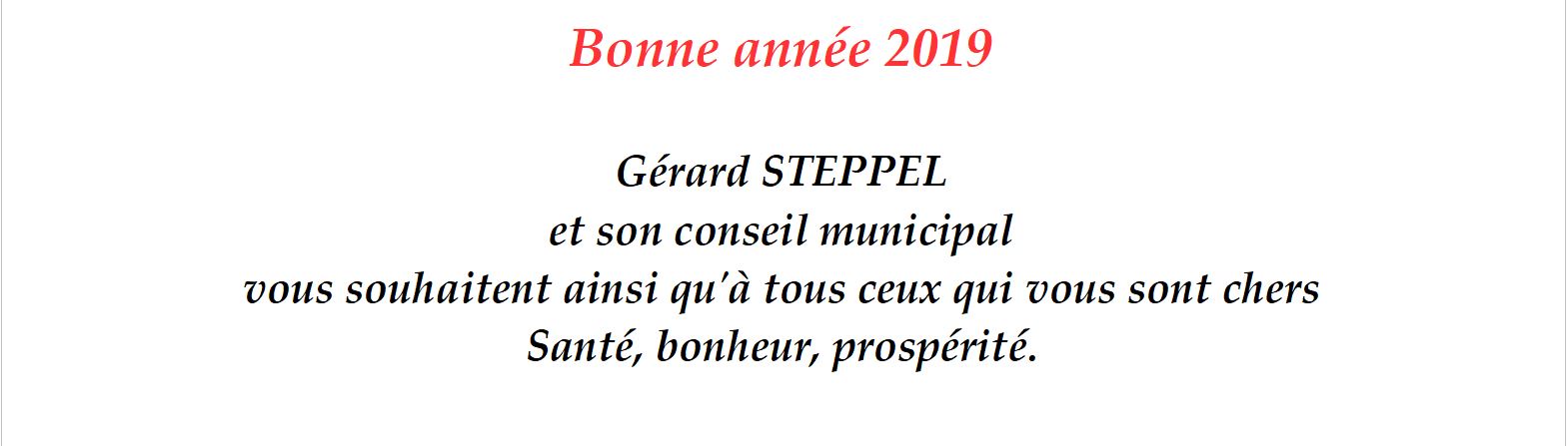 Voeux 2019 texte