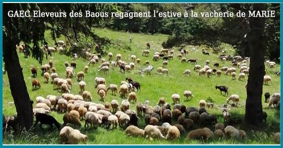 20 07 06 estive facebook