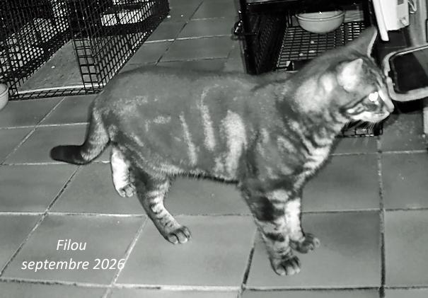 26 09 14 filou