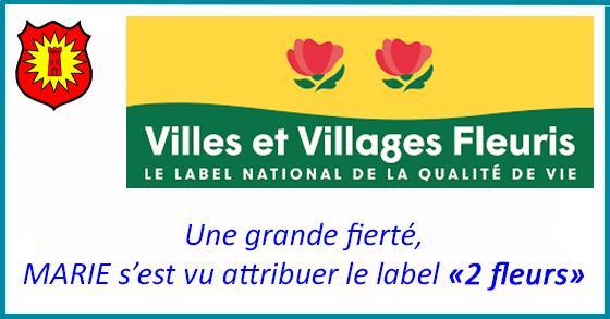 Facebook 2 fleurs