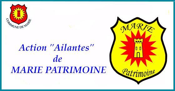 Facebook ailantes