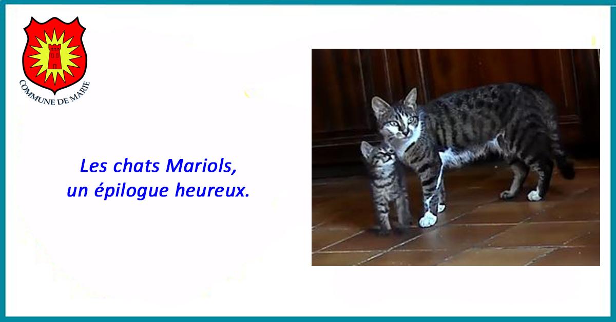 Facebook chats mariols