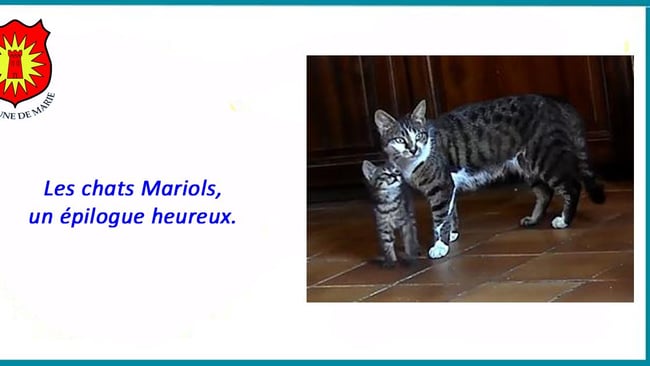 Facebook chats mariols