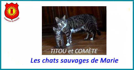 Facebook chats