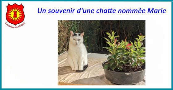 Facebook chatte marie