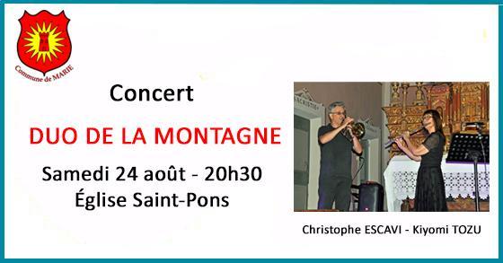 Facebook concert duo