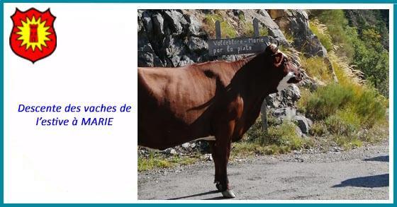 Facebook descente de l estive 