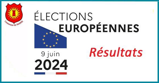 Facebook elections europe