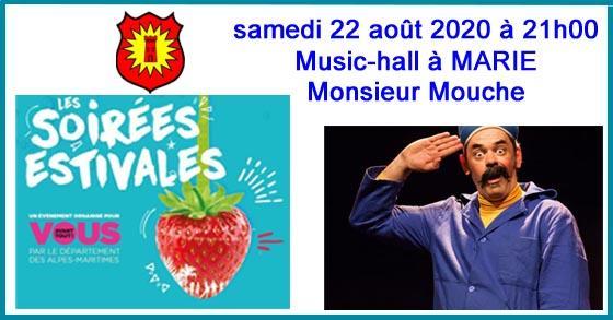 Facebook monsieur mouche