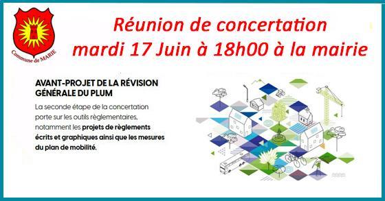 Facebook plum 1