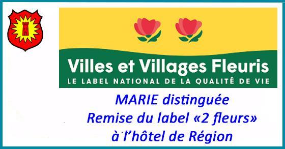 Facebook remise2 fleurs