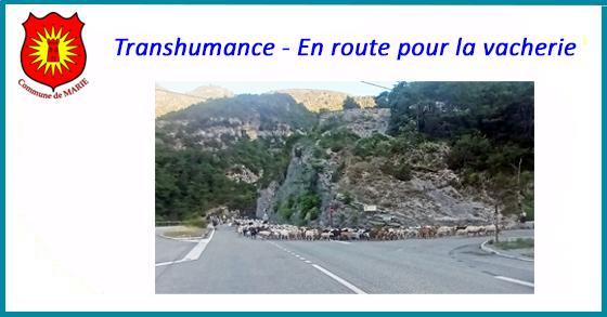 Facebook transhumance 1