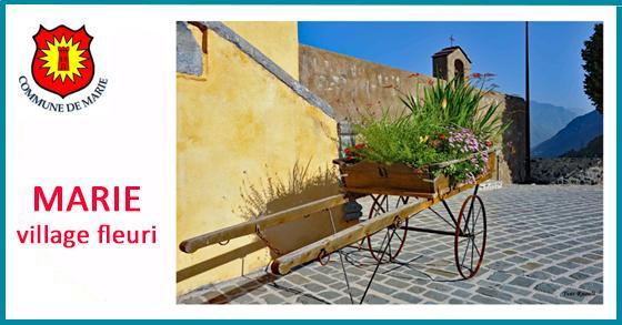 Facebook village fleuri