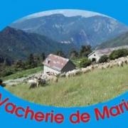 Vacherie 14