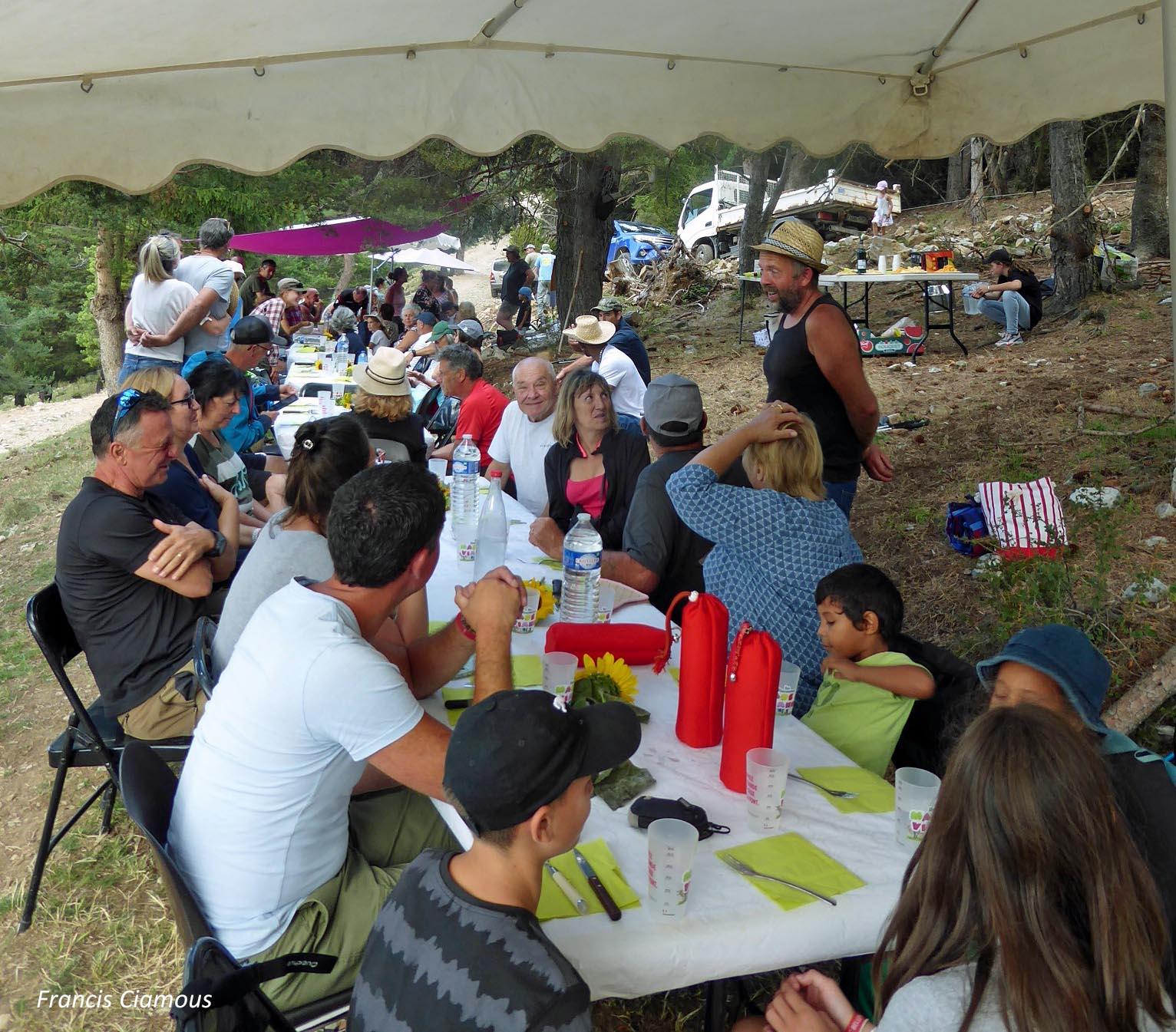 Vacherie 15